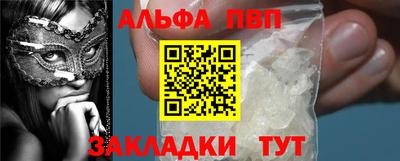 СК Кингисепп
