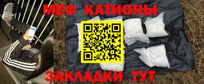 прущие грибы Кимры