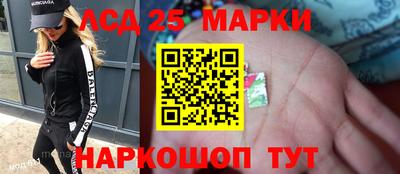 СК Кингисепп