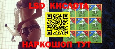 СК Кингисепп