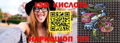 СК Кингисепп