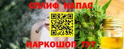 СК Кингисепп
