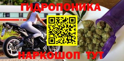 СК Кингисепп