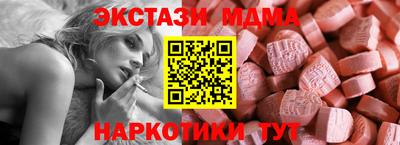 СК Кингисепп