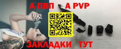 СК Кингисепп