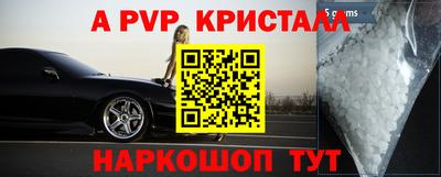 СК Кингисепп