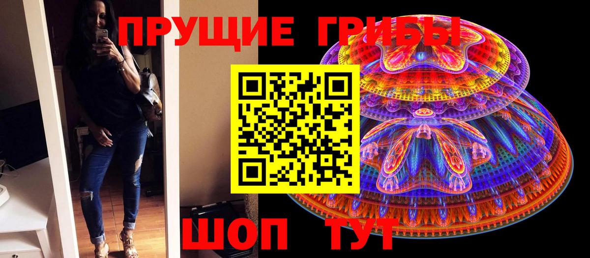 Галлюциногенные грибы Psilocybine cubensis Чернушка